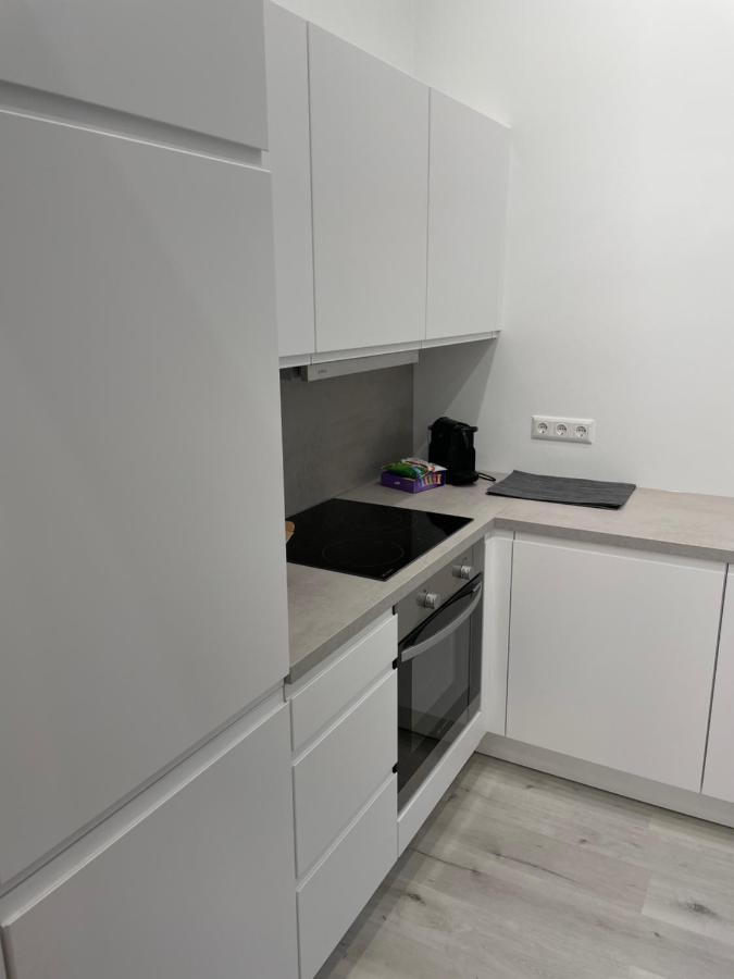 100M2 Apartment Naehe 1010 Wien Kültér fotó