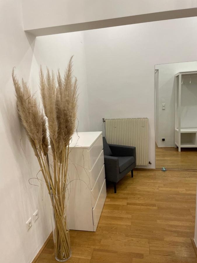 100M2 Apartment Naehe 1010 Wien Kültér fotó